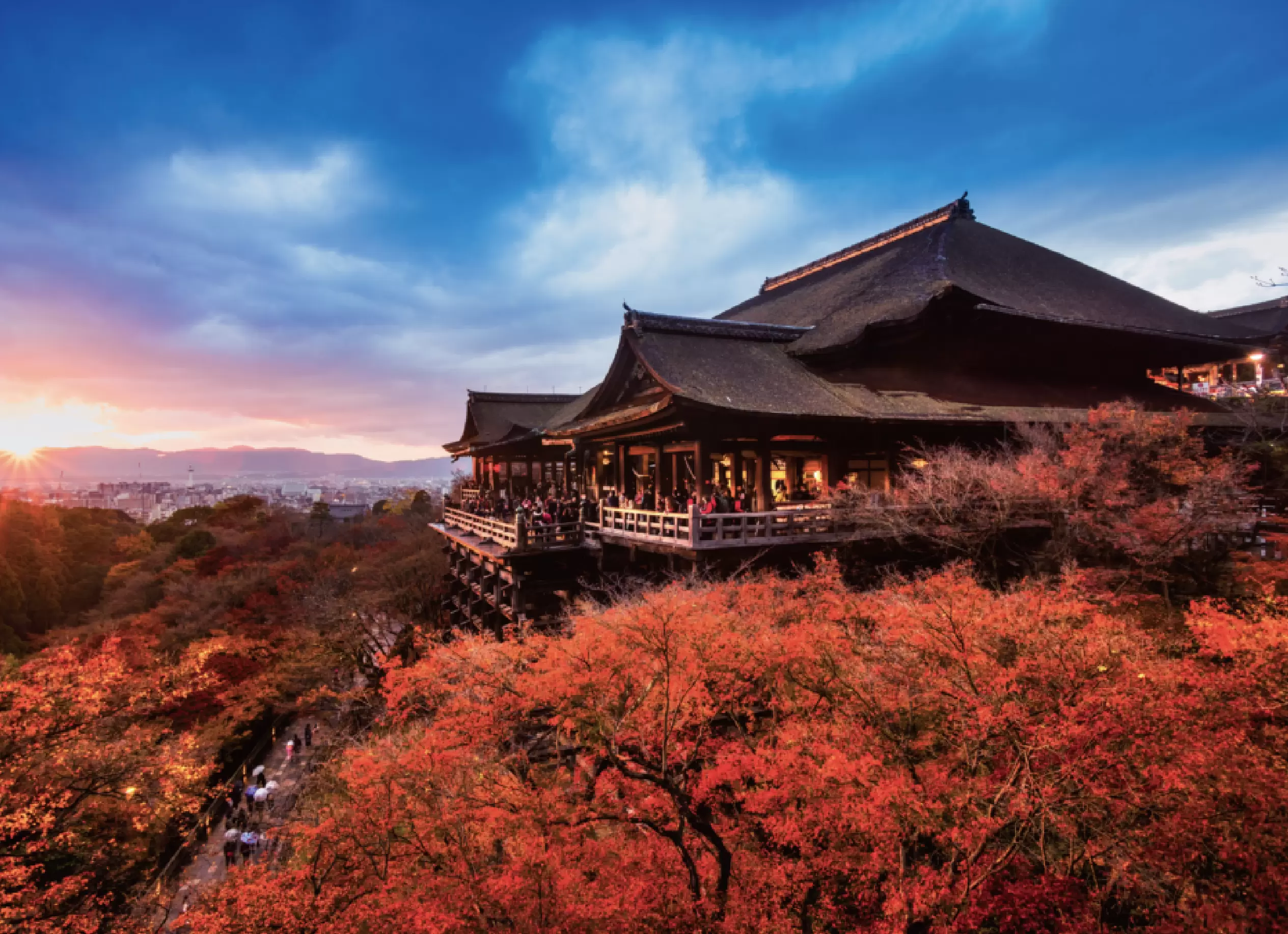 日本在地旅行社