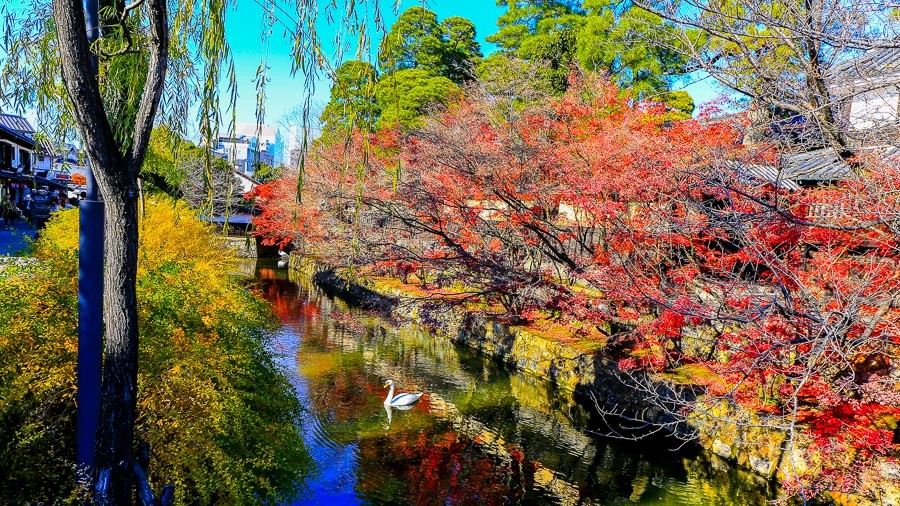 賞楓名勝-倉敷美觀地區