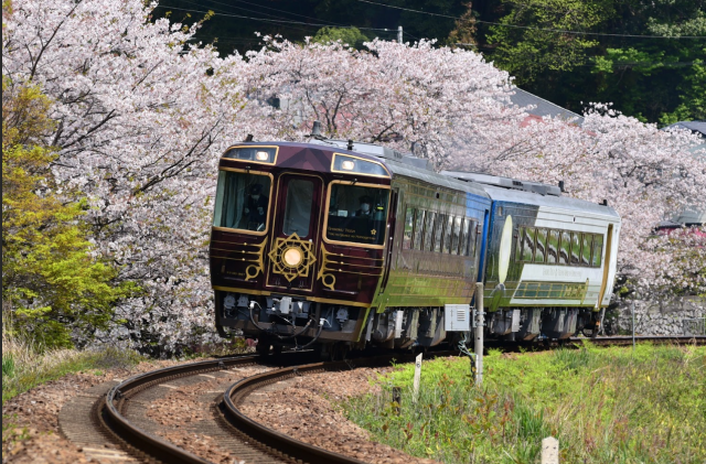 志國土佐時代黎明物語列車