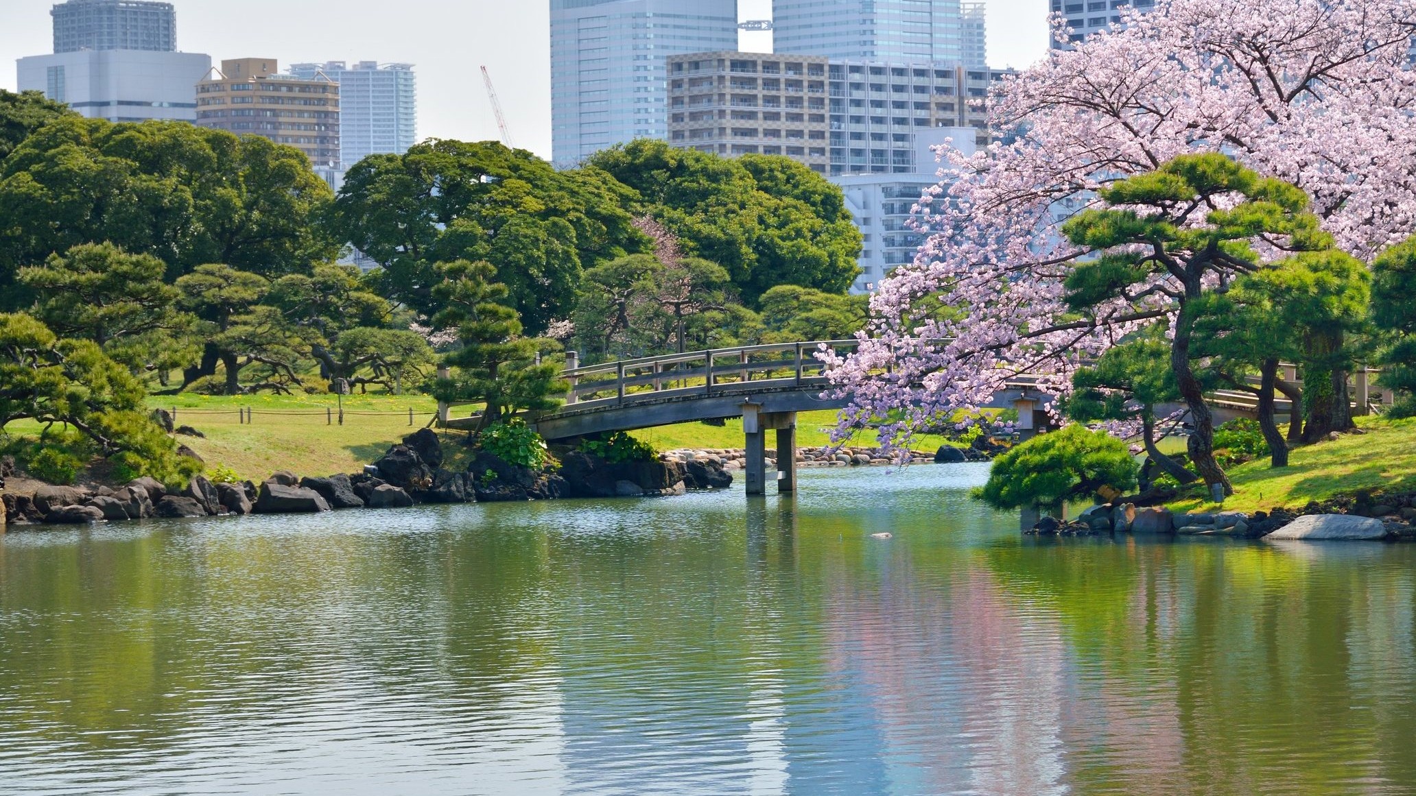 濱離宮恩賜庭園
