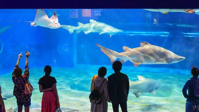 海洋世界茨城縣大洗水族館