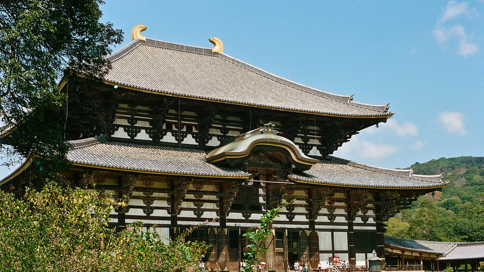 東大寺